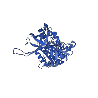 34756_8hh9_E_v1-0
F1 domain of FoF1-ATPase from Bacillus PS3, 90 degrees, low ATP
