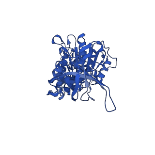34756_8hh9_F_v1-0
F1 domain of FoF1-ATPase from Bacillus PS3, 90 degrees, low ATP