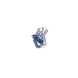 34756_8hh9_G_v1-0
F1 domain of FoF1-ATPase from Bacillus PS3, 90 degrees, low ATP
