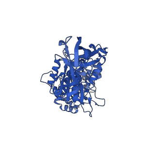 34757_8hha_A_v1-0
F1 domain of FoF1-ATPase from Bacillus PS3,120 degrees,lowATP