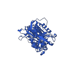 34757_8hha_C_v1-0
F1 domain of FoF1-ATPase from Bacillus PS3,120 degrees,lowATP