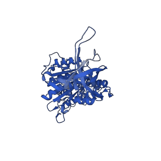 34757_8hha_D_v1-0
F1 domain of FoF1-ATPase from Bacillus PS3,120 degrees,lowATP