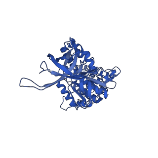 34757_8hha_E_v1-0
F1 domain of FoF1-ATPase from Bacillus PS3,120 degrees,lowATP