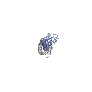 34757_8hha_G_v1-0
F1 domain of FoF1-ATPase from Bacillus PS3,120 degrees,lowATP