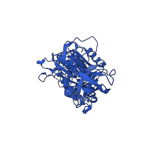 34758_8hhb_C_v1-0
F1 domain of FoF1-ATPase from Bacillus PS3,step waiting,lowATP