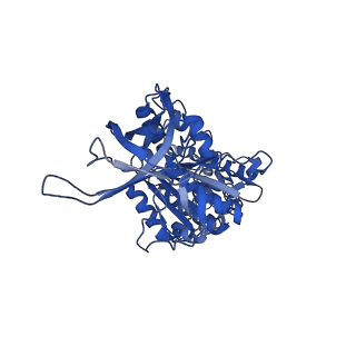 34758_8hhb_E_v1-0
F1 domain of FoF1-ATPase from Bacillus PS3,step waiting,lowATP