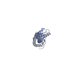 34758_8hhb_G_v1-0
F1 domain of FoF1-ATPase from Bacillus PS3,step waiting,lowATP