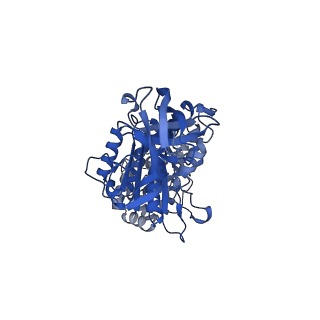 34760_8hhc_A_v1-0
F1 domain of FoF1-ATPase from Bacillus PS3,post-hyd',lowATP