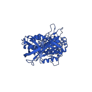 34760_8hhc_B_v1-0
F1 domain of FoF1-ATPase from Bacillus PS3,post-hyd',lowATP