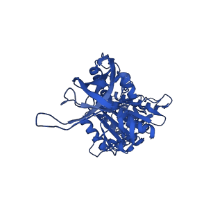 34760_8hhc_E_v1-0
F1 domain of FoF1-ATPase from Bacillus PS3,post-hyd',lowATP