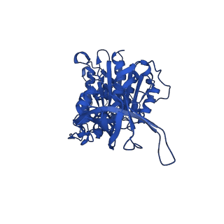 34760_8hhc_F_v1-0
F1 domain of FoF1-ATPase from Bacillus PS3,post-hyd',lowATP