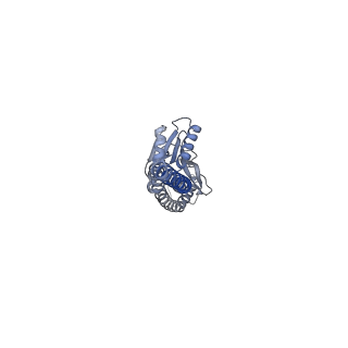 34760_8hhc_G_v1-0
F1 domain of FoF1-ATPase from Bacillus PS3,post-hyd',lowATP