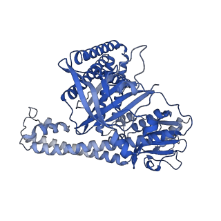 34803_8hhl_A_v1-3
Cryo-EM structure of the Cas12m2-crRNA-target DNA full R-loop complex