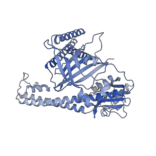 34804_8hhm_A_v1-3
Cryo-EM structure of the Cas12m2-crRNA-target DNA ternary complex intermediate state