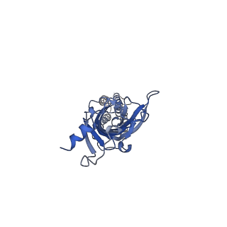 0225_6hin_A_v1-1
Mouse serotonin 5-HT3 receptor, serotonin-bound, F conformation
