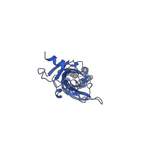 0225_6hin_B_v1-1
Mouse serotonin 5-HT3 receptor, serotonin-bound, F conformation