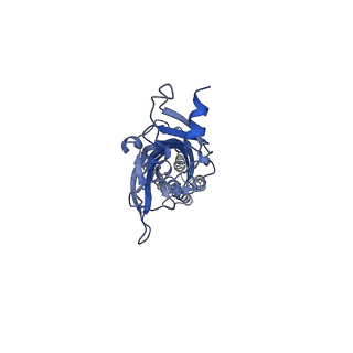 0225_6hin_C_v1-1
Mouse serotonin 5-HT3 receptor, serotonin-bound, F conformation