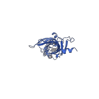 0225_6hin_D_v1-1
Mouse serotonin 5-HT3 receptor, serotonin-bound, F conformation