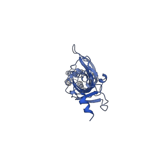 0225_6hin_E_v1-1
Mouse serotonin 5-HT3 receptor, serotonin-bound, F conformation