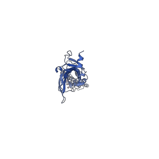 0226_6hio_C_v1-2
Mouse serotonin 5-HT3 receptor, serotonin-bound, I1 conformation