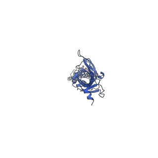 0226_6hio_E_v1-2
Mouse serotonin 5-HT3 receptor, serotonin-bound, I1 conformation