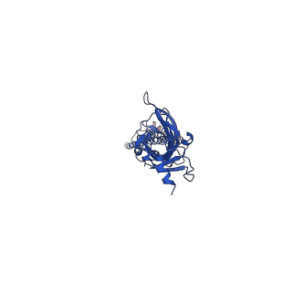 0227_6hiq_E_v1-2
Mouse serotonin 5-HT3 receptor, serotonin-bound, I2 conformation