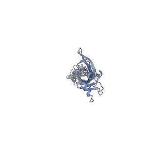 0228_6his_E_v1-2
Mouse serotonin 5-HT3 receptor, tropisetron-bound, T conformation