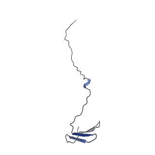 0230_6hiw_CC_v1-2
Cryo-EM structure of the Trypanosoma brucei mitochondrial ribosome - This entry contains the complete small mitoribosomal subunit in complex with mt-IF-3