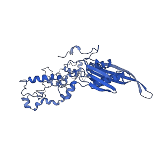 0230_6hiw_CE_v1-2
Cryo-EM structure of the Trypanosoma brucei mitochondrial ribosome - This entry contains the complete small mitoribosomal subunit in complex with mt-IF-3