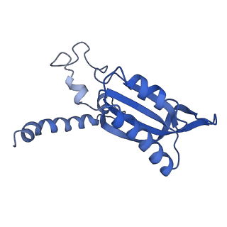 0230_6hiw_CF_v1-2
Cryo-EM structure of the Trypanosoma brucei mitochondrial ribosome - This entry contains the complete small mitoribosomal subunit in complex with mt-IF-3