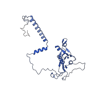 0230_6hiw_CH_v1-2
Cryo-EM structure of the Trypanosoma brucei mitochondrial ribosome - This entry contains the complete small mitoribosomal subunit in complex with mt-IF-3