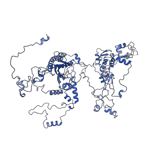 0230_6hiw_CJ_v1-2
Cryo-EM structure of the Trypanosoma brucei mitochondrial ribosome - This entry contains the complete small mitoribosomal subunit in complex with mt-IF-3