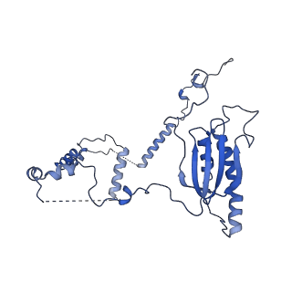 0230_6hiw_CK_v1-2
Cryo-EM structure of the Trypanosoma brucei mitochondrial ribosome - This entry contains the complete small mitoribosomal subunit in complex with mt-IF-3