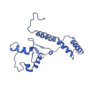 0230_6hiw_CN_v1-2
Cryo-EM structure of the Trypanosoma brucei mitochondrial ribosome - This entry contains the complete small mitoribosomal subunit in complex with mt-IF-3