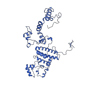 0230_6hiw_CO_v1-2
Cryo-EM structure of the Trypanosoma brucei mitochondrial ribosome - This entry contains the complete small mitoribosomal subunit in complex with mt-IF-3