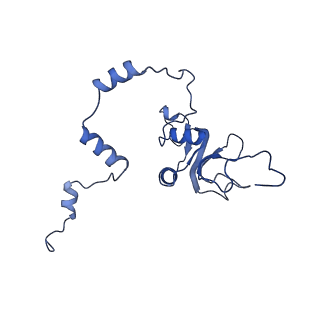 0230_6hiw_CP_v1-2
Cryo-EM structure of the Trypanosoma brucei mitochondrial ribosome - This entry contains the complete small mitoribosomal subunit in complex with mt-IF-3