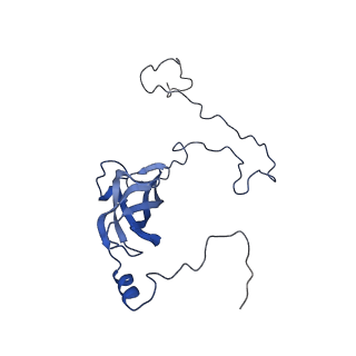0230_6hiw_CQ_v1-2
Cryo-EM structure of the Trypanosoma brucei mitochondrial ribosome - This entry contains the complete small mitoribosomal subunit in complex with mt-IF-3