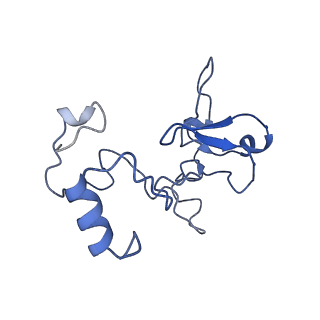 0230_6hiw_CS_v1-2
Cryo-EM structure of the Trypanosoma brucei mitochondrial ribosome - This entry contains the complete small mitoribosomal subunit in complex with mt-IF-3