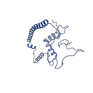 0230_6hiw_CU_v1-2
Cryo-EM structure of the Trypanosoma brucei mitochondrial ribosome - This entry contains the complete small mitoribosomal subunit in complex with mt-IF-3