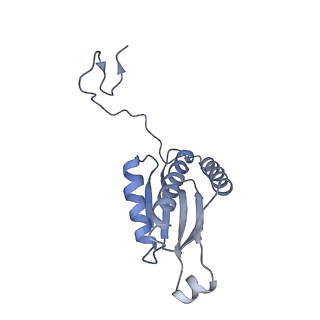 0230_6hiw_CZ_v1-2
Cryo-EM structure of the Trypanosoma brucei mitochondrial ribosome - This entry contains the complete small mitoribosomal subunit in complex with mt-IF-3