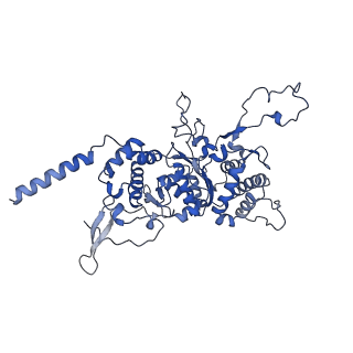0230_6hiw_Cg_v1-2
Cryo-EM structure of the Trypanosoma brucei mitochondrial ribosome - This entry contains the complete small mitoribosomal subunit in complex with mt-IF-3