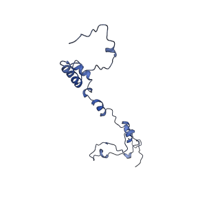 0230_6hiw_Ci_v1-2
Cryo-EM structure of the Trypanosoma brucei mitochondrial ribosome - This entry contains the complete small mitoribosomal subunit in complex with mt-IF-3