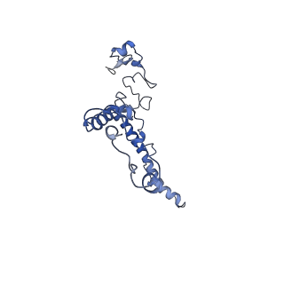 0230_6hiw_Cm_v1-2
Cryo-EM structure of the Trypanosoma brucei mitochondrial ribosome - This entry contains the complete small mitoribosomal subunit in complex with mt-IF-3