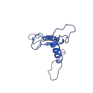 0230_6hiw_Cn_v1-2
Cryo-EM structure of the Trypanosoma brucei mitochondrial ribosome - This entry contains the complete small mitoribosomal subunit in complex with mt-IF-3