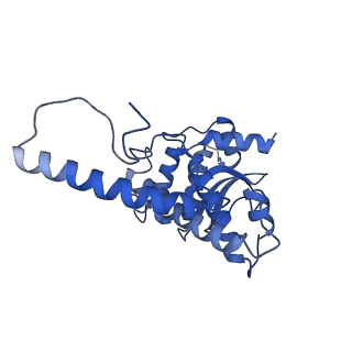0230_6hiw_Cq_v1-2
Cryo-EM structure of the Trypanosoma brucei mitochondrial ribosome - This entry contains the complete small mitoribosomal subunit in complex with mt-IF-3