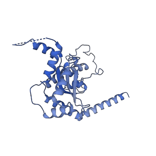 0230_6hiw_Cr_v1-2
Cryo-EM structure of the Trypanosoma brucei mitochondrial ribosome - This entry contains the complete small mitoribosomal subunit in complex with mt-IF-3