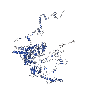 0230_6hiw_Cv_v1-2
Cryo-EM structure of the Trypanosoma brucei mitochondrial ribosome - This entry contains the complete small mitoribosomal subunit in complex with mt-IF-3