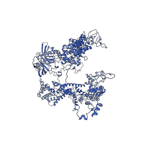 0230_6hiw_DA_v1-2
Cryo-EM structure of the Trypanosoma brucei mitochondrial ribosome - This entry contains the complete small mitoribosomal subunit in complex with mt-IF-3