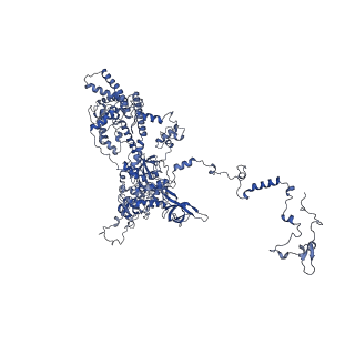 0230_6hiw_DB_v1-2
Cryo-EM structure of the Trypanosoma brucei mitochondrial ribosome - This entry contains the complete small mitoribosomal subunit in complex with mt-IF-3