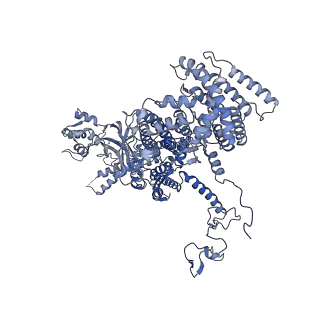 0230_6hiw_DC_v1-2
Cryo-EM structure of the Trypanosoma brucei mitochondrial ribosome - This entry contains the complete small mitoribosomal subunit in complex with mt-IF-3